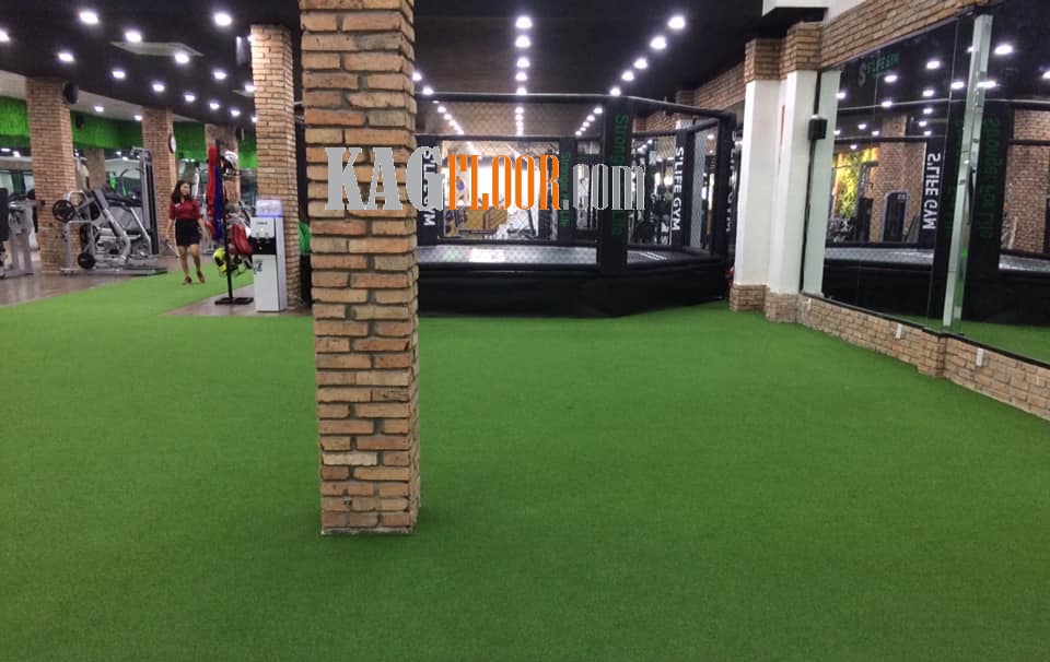 co-nhan-tao-phong-gym (2).jpg (127 KB)